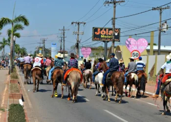 Idaf garante sanidade dos animais que participam da Expoacre 2017