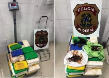 Polícia Federal prende dois e apreende 77 kg de cocaína em caminhonete