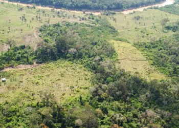 Redução do desmatamento no Acre é resultado de políticas públicas, aponta Sema