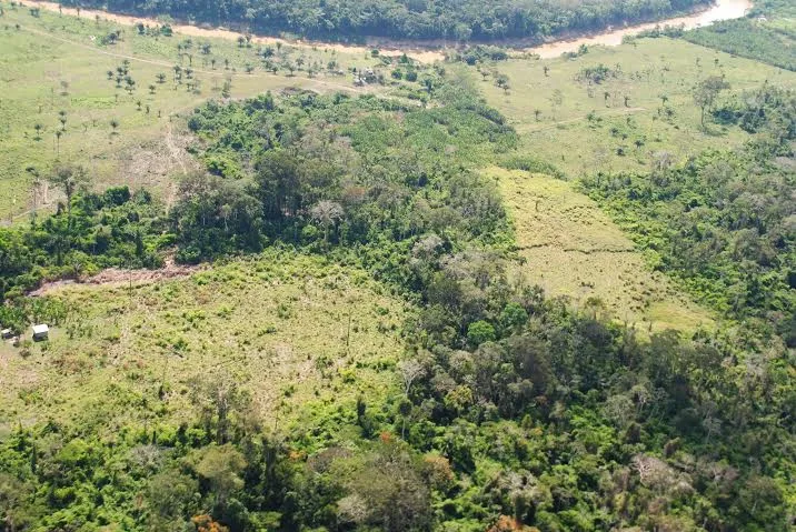 Redução do desmatamento no Acre é resultado de políticas públicas, aponta Sema