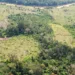 Redução do desmatamento no Acre é resultado de políticas públicas, aponta Sema