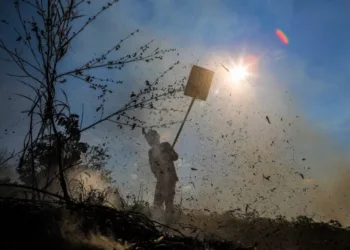 Governo declara situação de emergência ambiental devido à redução de chuvas e risco de incêndios florestais no Acre