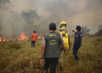 Governo garante combate intenso contra as queimadas 2 Governo garante combate intenso contra as queimadas