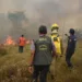 Governo garante combate intenso contra as queimadas