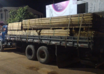 Polícia Militar apreende quase 15 metros de madeira ilegal