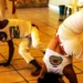 Capoeiristas do Acre debatem plano de proteção e valorização da Capoeira