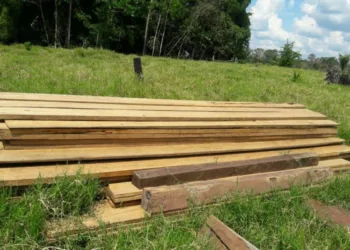 Batalhão Ambiental e Ibama apreendem madeira ilegal na Transacreana