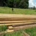 Batalhão Ambiental e Ibama apreendem madeira ilegal na Transacreana