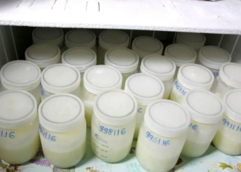 Atividades do mês dedicado ao aleitamento materno começam hoje