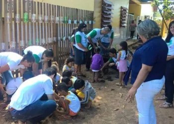 Voluntários promovem conscientização ambiental e limpeza da Praia da Base