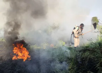Setembro é o período crítico de seca e número de queimadas aumenta
