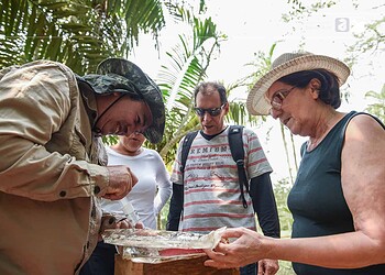Governo estuda potencialidade de turismo científico no Seringal Bom Destino