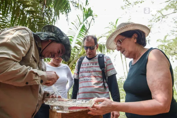 Governo estuda potencialidade de turismo científico no Seringal Bom Destino
