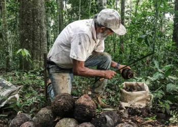 Economia sustentável acreana é apresentada em encontro do GCF na Indonésia