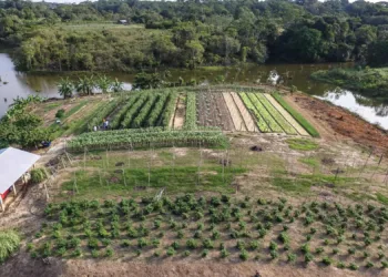 Tião Viana lança plano agrícola nos quatro municípios de difícil acesso
