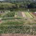 Tião Viana lança plano agrícola nos quatro municípios de difícil acesso