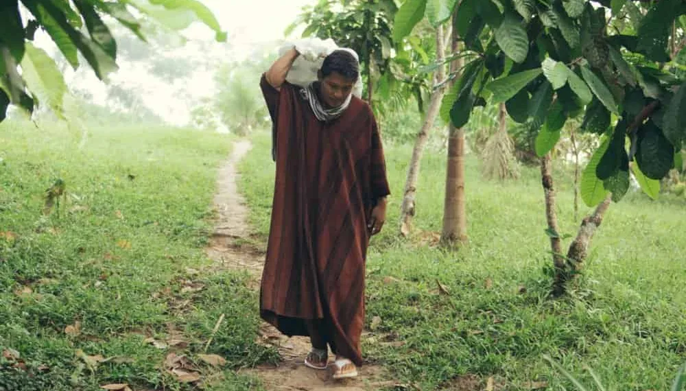 Associação Ashaninka recebe premiação da ONU por defender floresta