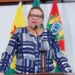 Deputada estadual Juliana Rodrigues apresenta projeto de prevenção para idosos