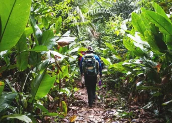 Trilha Chico Mendes é considerada uma das mais interessantes do mundo