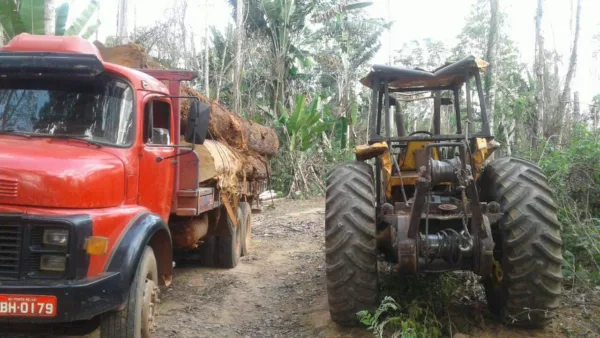 Batalhão Ambiental apreende mais de 17 metros cúbicos de madeira retirada ilegalmente