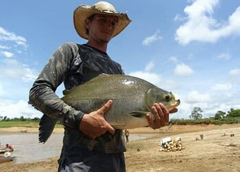 Peixes da Amazônia reaviva esperança de produtor em continuar criando alevinos