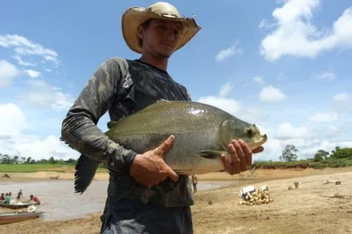 Peixes da Amazônia reaviva esperança de produtor em continuar criando alevinos