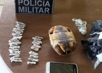 Após denúncia anônima, Polícia Militar prende homem por tráfico de drogas em Manoel Urbano