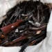 Um ano após decreto, país reutiliza menos de 200 armas das mais de 135 mil apreendidas