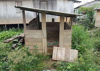 Irmãos são resgatados pela polícia após serem encontrados dormindo em chiqueiro