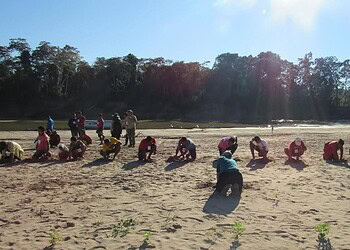 SOS Amazônia lidera projeto de preservação de quelônios ao longo do Rio Juruá desde 2003