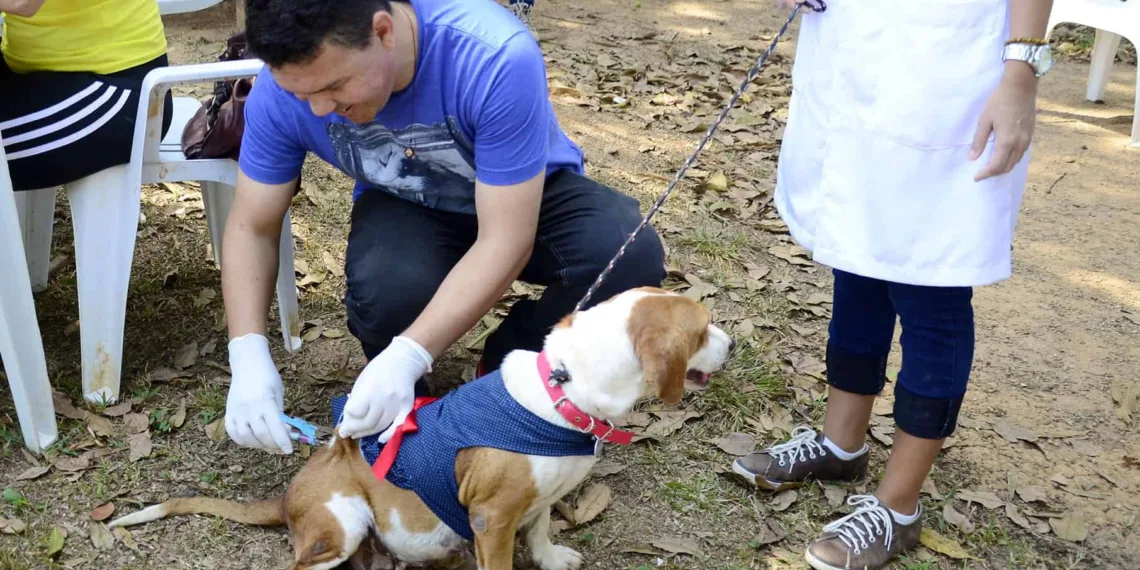 Campanha de vacinação de animais acontece neste sábado no Horto Florestal e na Baixada