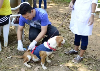 Campanha de vacinação de animais acontece neste sábado no Horto Florestal e na Baixada