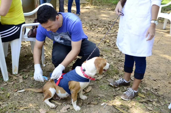 Campanha de vacinação de animais acontece neste sábado no Horto Florestal e na Baixada