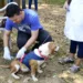 Campanha de vacinação de animais acontece neste sábado no Horto Florestal e na Baixada