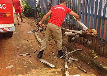 Fotos/Acervo pessoal