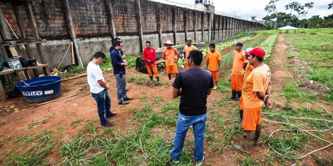 Com trabalho e educação, penitenciária do Quinari busca novos caminhos para a paz