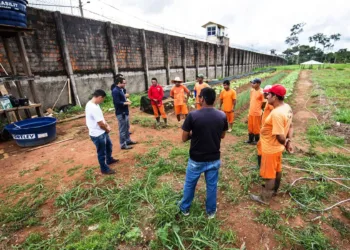 Com trabalho e educação, penitenciária do Quinari busca novos caminhos para a paz