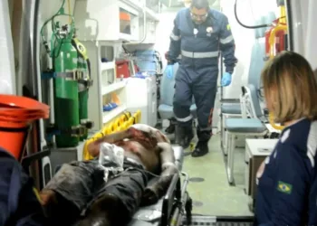 Para não ser morto, homem invade quintal e é atacado por cachorros