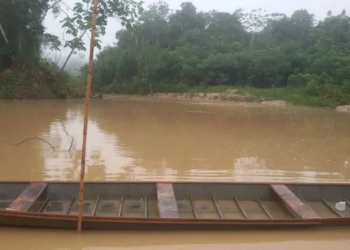 Bombeiros não acham jovem que caiu em igarapé após canoa virar