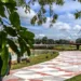 Governo inicia projeto de arborização e paisagismo do entorno do Lago do Amor