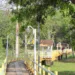 Prefeitura de Rio Branco promove ação social com atendimento médico e serviços de cidadania no Parque Capitão Ciríaco