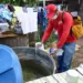 Rio Branco registra redução de 64% nos casos de dengue