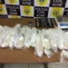 Mais de 15 quilos de drogas são encontrados enterrados em quintal e dentro de geladeira em Rio Branco