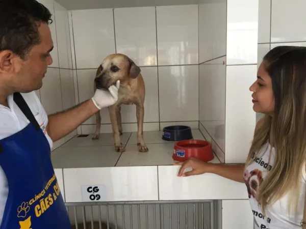 “É uma vitória para a causa animal”, diz ativista sobre implantação de Conselho de Proteção e Defesa de Animais