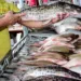 A Doença de Haff é transmitida por meio de toxinas presentes em peixes e crustáceos mal acondicionados
