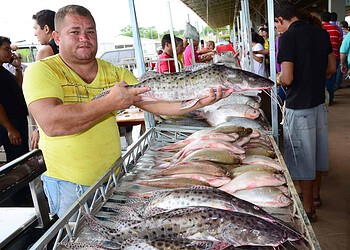 Feira do Peixe da Semana Santa acontece de 27 a 30 de março em Rio Branco
