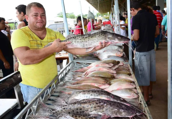 Feira do Peixe da Semana Santa acontece de 27 a 30 de março em Rio Branco