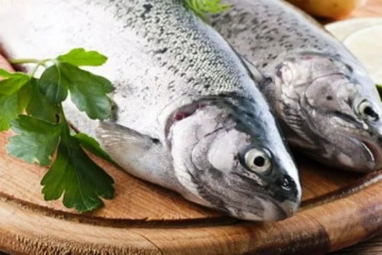 Dicas para escolher o melhor peixe durante a Semana Santa