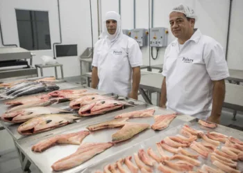 Peixes da Amazônia garante abastecimento do mercado para a Semana Santa