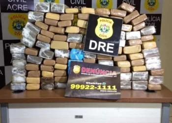 Denúncia pelo WhatsApp leva polícia a achar mais de 80 kg de maconha enterrados próximo a igarapé no AC